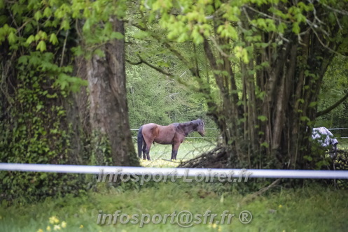 Trail _Chamerolles2026/CHM2026_1449.JPG